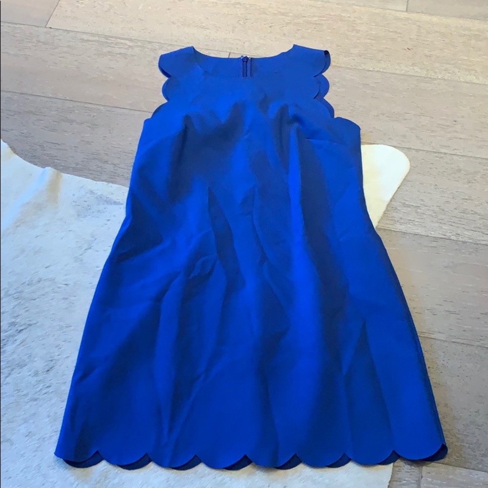 J.Crew Dress